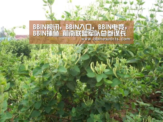 BBIN视讯,BBIN入口,BBIN电竞,BBIN捕鱼_前南联盟军队总参谋长被国际法庭判处27年监禁(图2) BBIN视讯,BBIN入口,BBIN电竞,BBIN捕鱼
